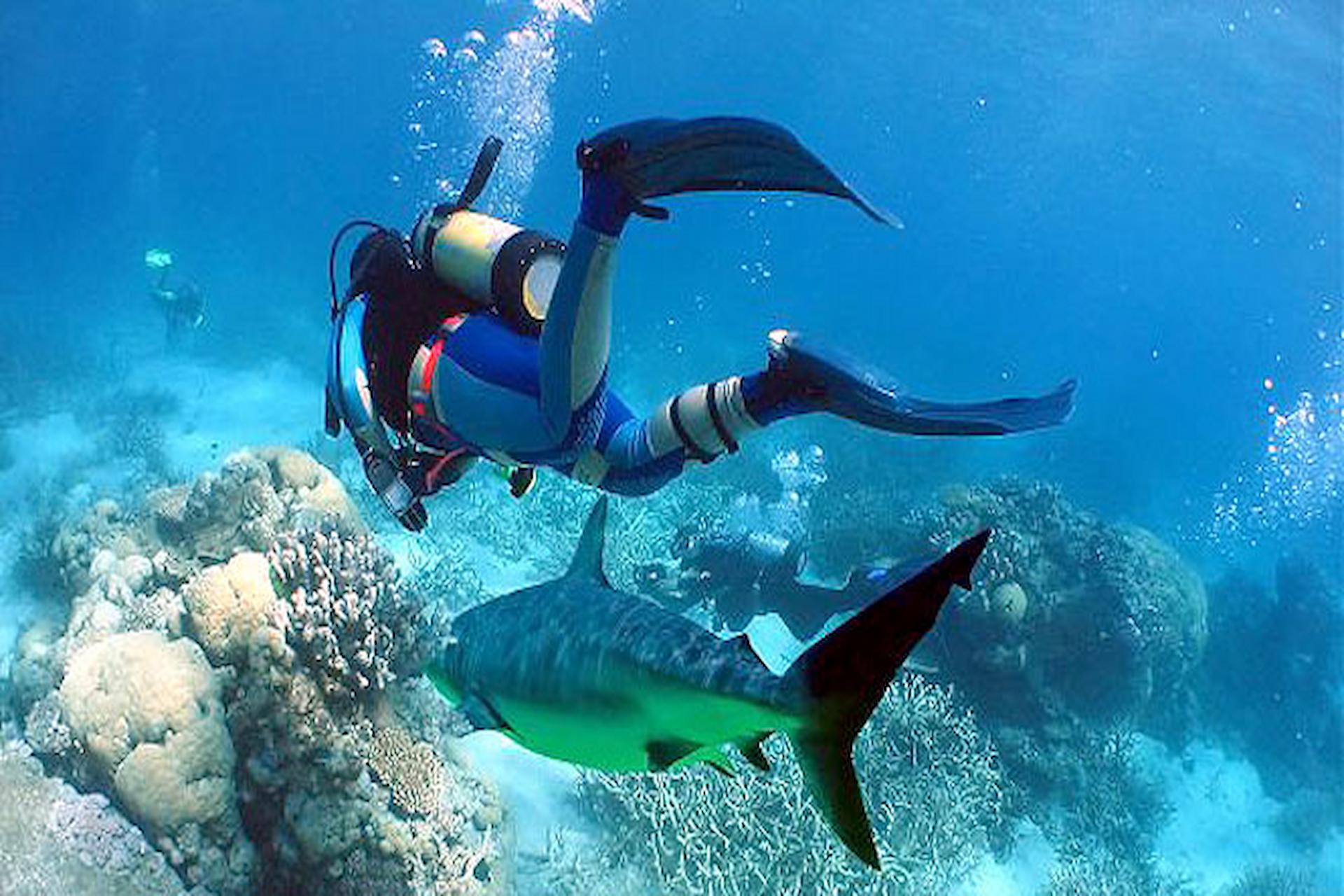 The Diving Community Pulls Together And Proves That Scuba Diving Is A Friendly Community Which Looks After Its Own