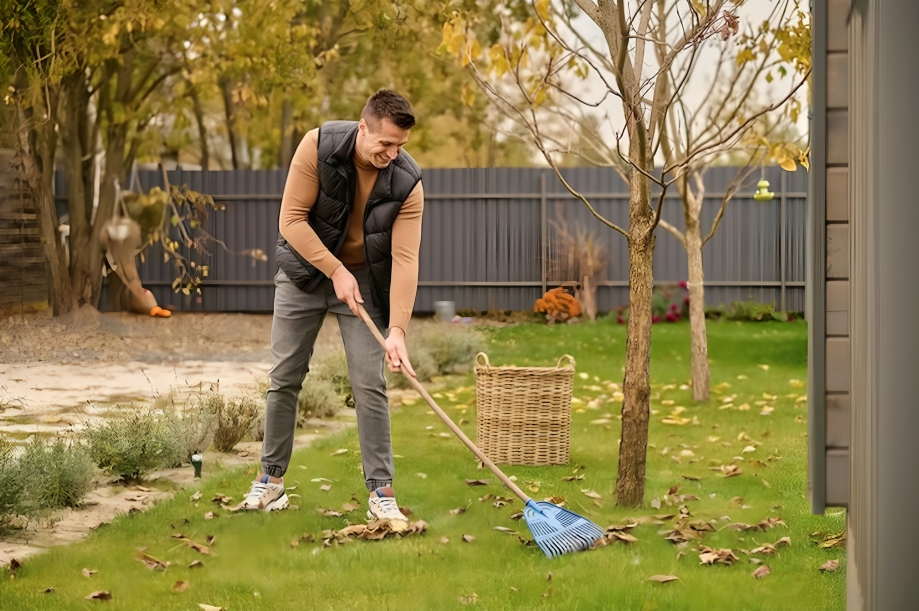 Get Your Garden Ready for a New Lawn with Proper Clearance